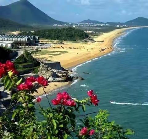 金鸡报晓的美篇