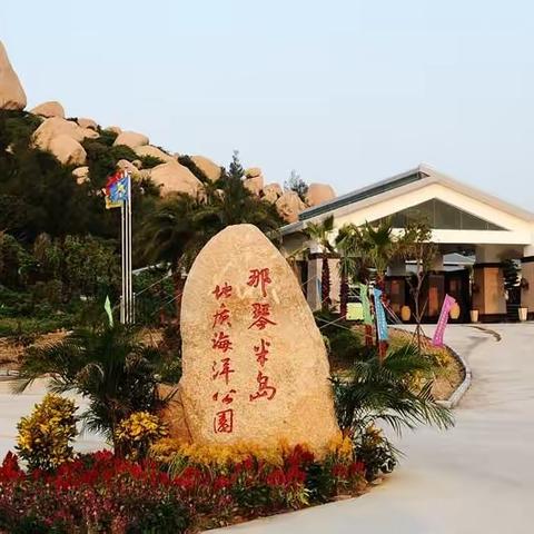 金鸡报晓的美篇