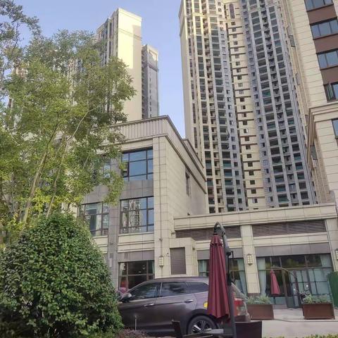 舜元臻园9.14施工进度篇