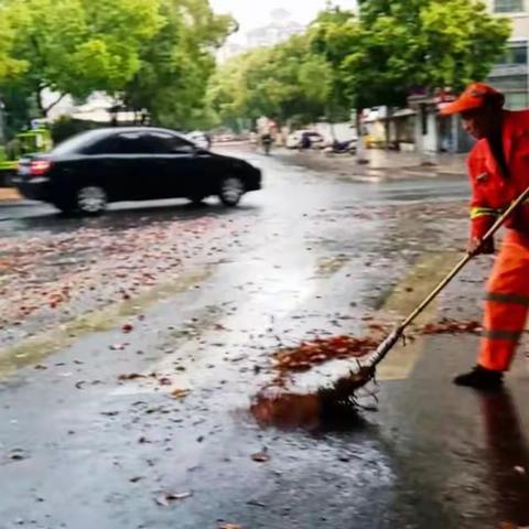 春季落叶期 环卫清扫忙