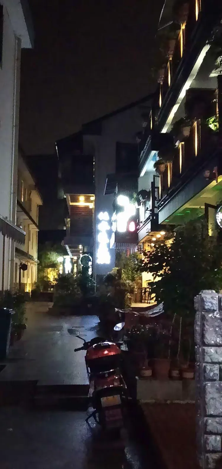 青芝坞夜景