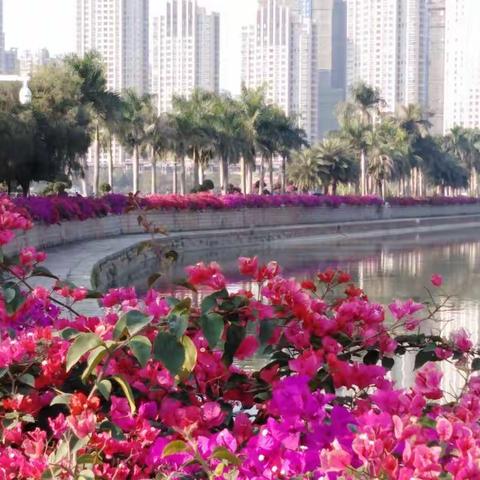 2019.1.28 ——2019.2.21厦门、漳州之行