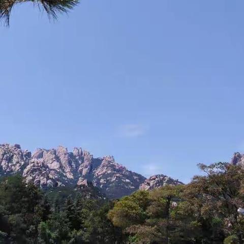 ‘’深刻 睿智 思辨 创新”滋润着我的心田 定兴县第三实验小学 刘丽华