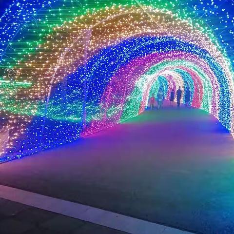 三翁花园灯光秀