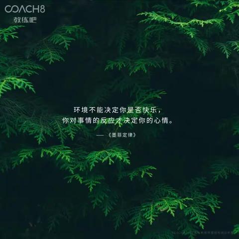 月亮门的美篇