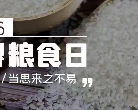 “珍惜粮食，厉行节约”龙凤公益服务站开展世界粮食日活动