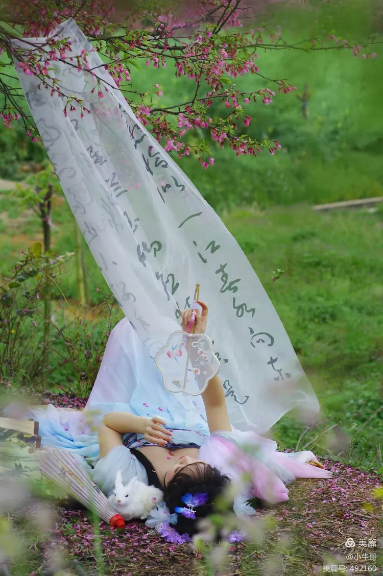 樱花醉 清茶抚心|醉意犹存