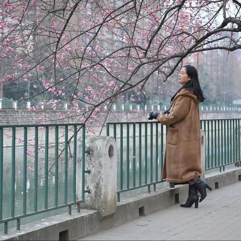 2021年～蓉城记忆（一）