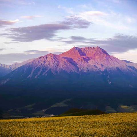 大美青海油菜花——卓尔山