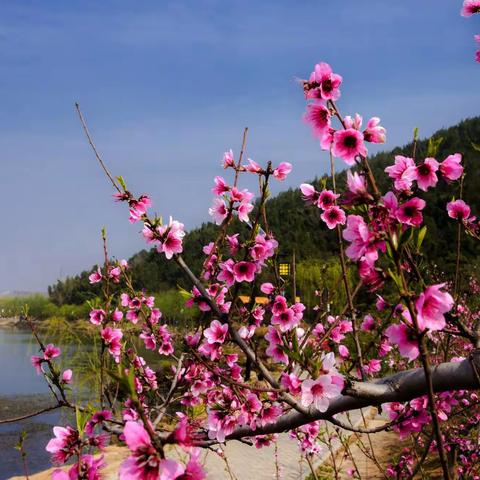 美丽山村游-----百年老宅，蜀汉后主刘禅归属地