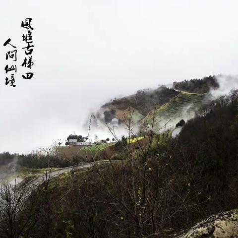 秦巴山区的清代古梯田赏油菜花