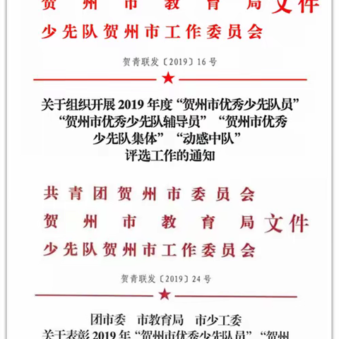 少先队喜获荣誉 风采暖人心——钟山县钟山镇第六小学少先队荣获2019年市级表彰