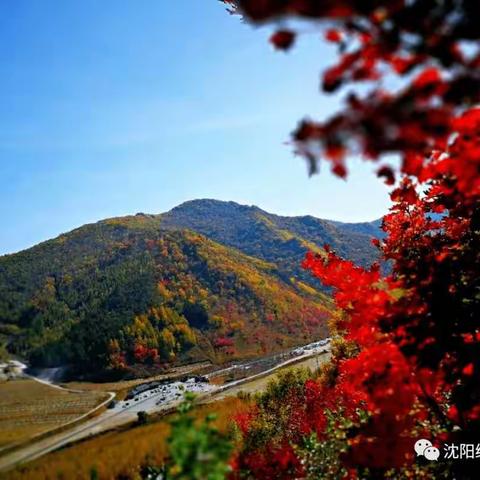 10.4～10.5本溪湖里风景区+龙道沟赏枫休闲美拍两日游