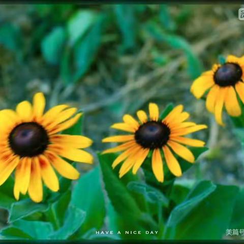 乘风破浪，扬帆起航一一开栅中学政治教学活动