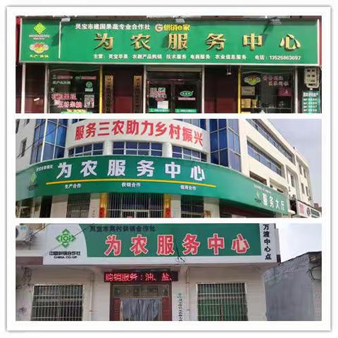 灵宝市供销社项目建设—“三位一体”综合为农服务中心体系建设
