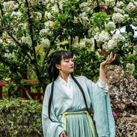 人间最美四月天