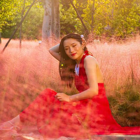 粉黛花开的时候