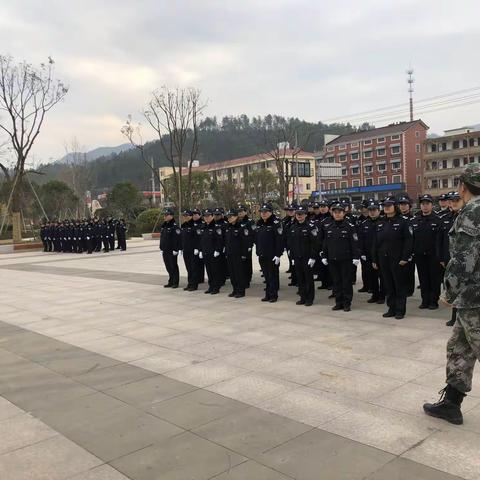 2019的最后一个月