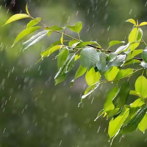 网格日常