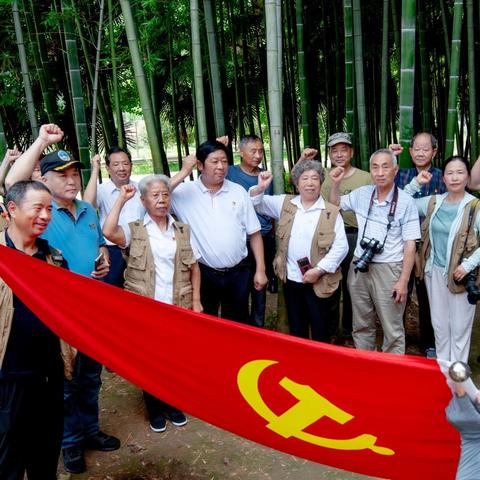 一生追求得实现，建党百年终圆梦，——80岁艺术家的第一次主题党日活动