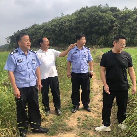 警民防旱抗旱保丰收