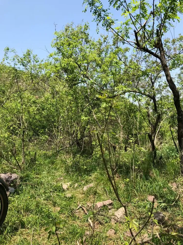 叶县歪头山一线天骑行记