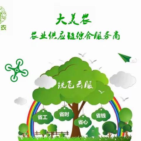 2019年大美农小麦飞防高产套餐