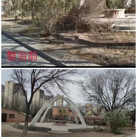 银北服务中心大力开展环境卫生整治活动，提升文明办公环境——我们在行动