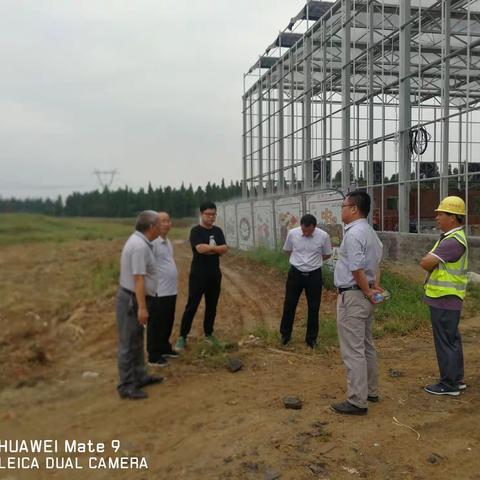 督导安全交叉检查