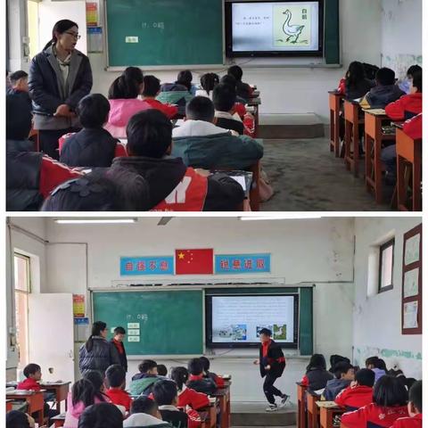 凝心聚力提质量，以研促教共成长//肥乡镇中心校语文教研交流活动