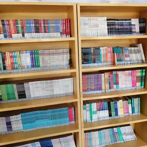沈家屯小学图书室整理完毕