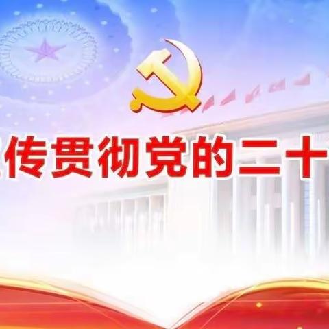 学习二十大 奋进新征程 ——华北油田供应学校第三党支部开展党的二十大精神宣讲活动四