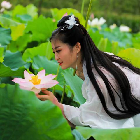 一池清水出芙蓉     花中君子展娇容