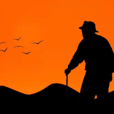 记忆中的祖孙之乐