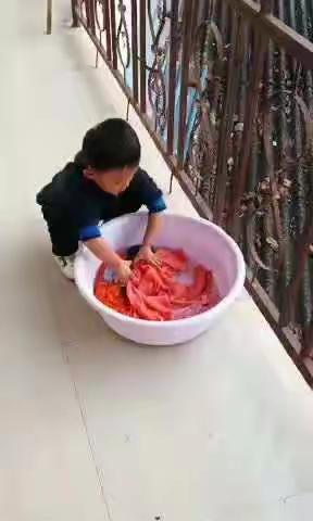 灿烂阳光的美篇