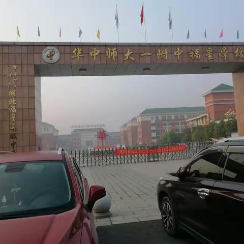 坚持学习，向上生长