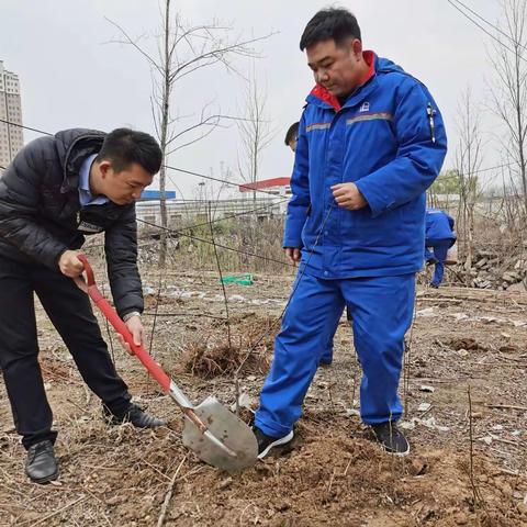 种植绿色希望、收获明日绚烂--牡丹片区植树活动