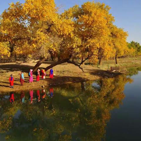 镜头的记忆----2017出游