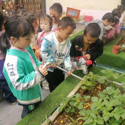 贵阳市花溪区七星幼儿园