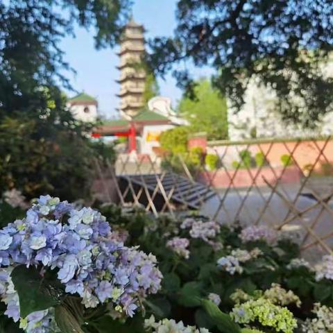 【助力双减 玩转数学】——厚德路小学二年级实践作业（二）