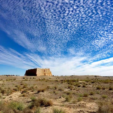 加大景区环境卫生整治，全面提升景区旅游形象