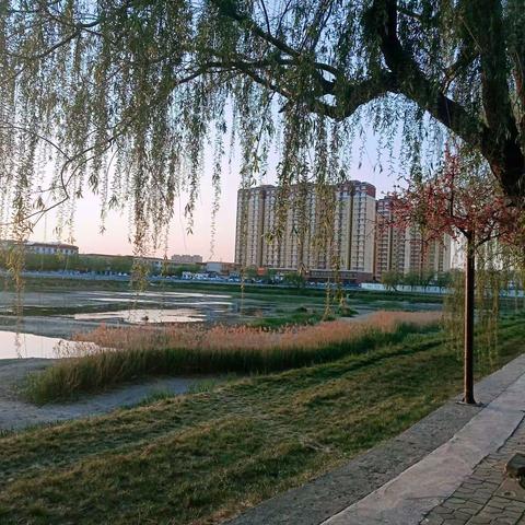 新说心语（三）