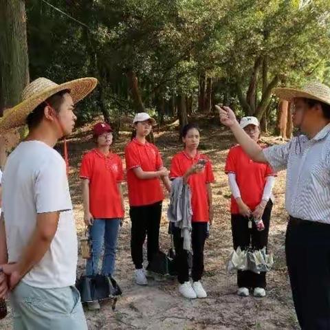 广东石油化工学院大学生“油城墟”社会实践队|重返锡塘大地，规划发展蓝图