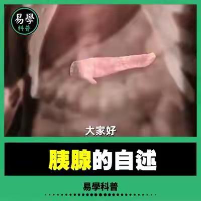 身体的奥秘
