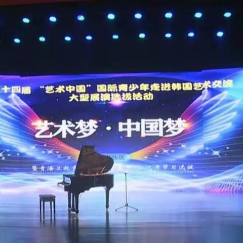 萱萱参加《艺术中国》选拔赛