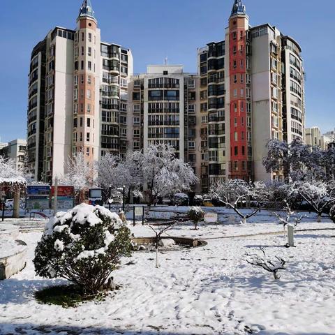 万春花园雪后美景