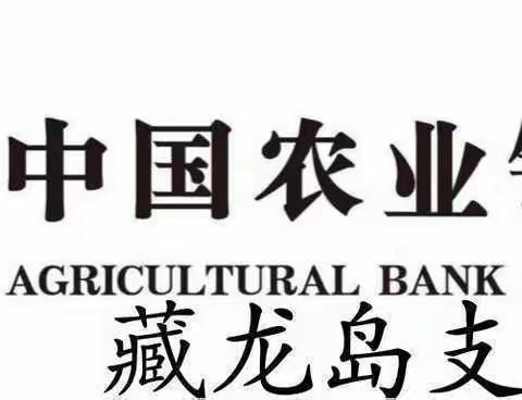 【农行藏龙岛支行】进湖经校园，发折页风扇，演反诈小品，普反诈知识