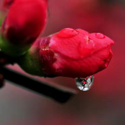 好一场春雨