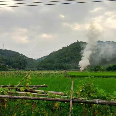 台风过后，粤北山野拾趣