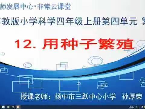 永胜中心小学网络视频课